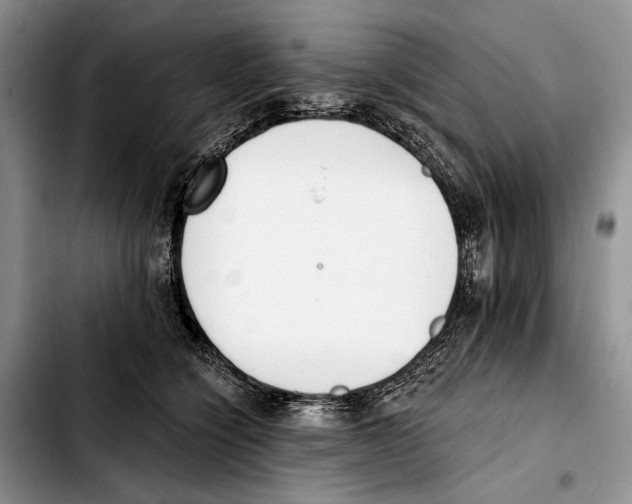 X0000103420564200810101021