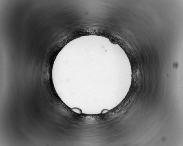 X0000103420566200810101021