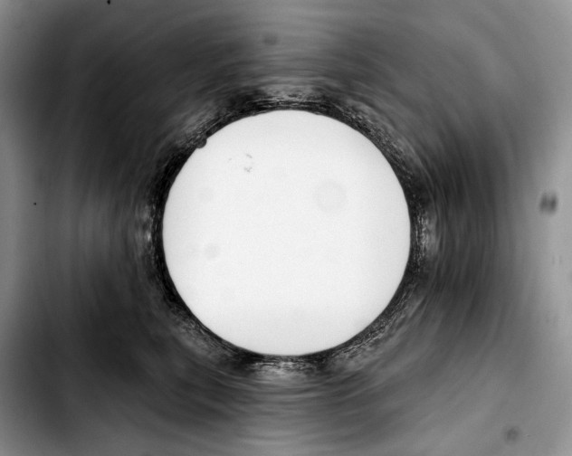 X0000103420567200810101021