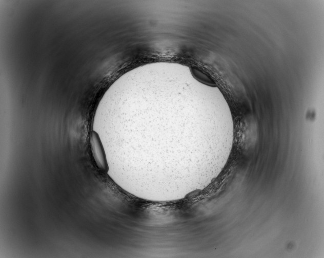 X0000103420568200810101021