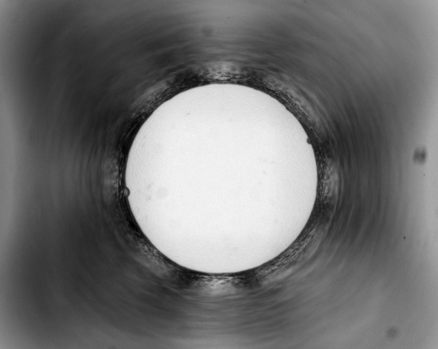 X0000103420569200810101021