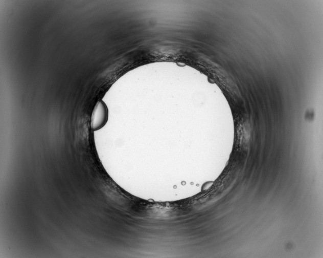 X0000103420570200810101021