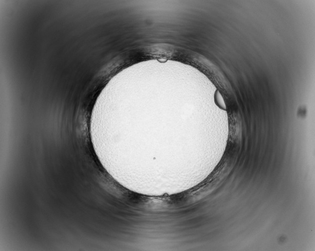 X0000103420573200810101021