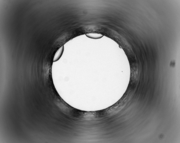 X0000103420574200810101022