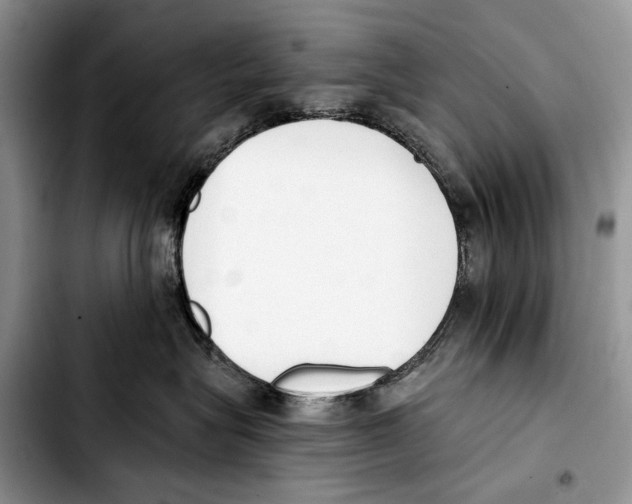 X0000103420575200810101022