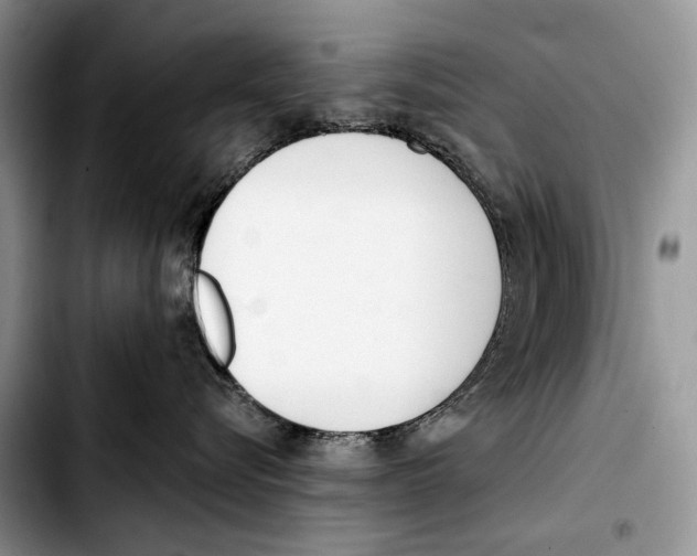 X0000103420576200810101022