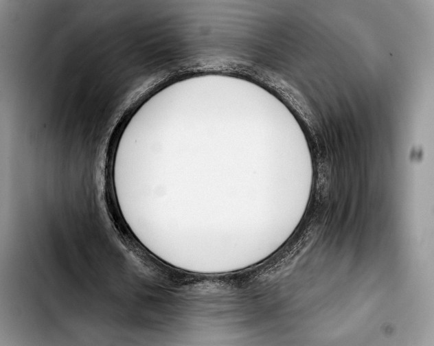 X0000103420578200810101021