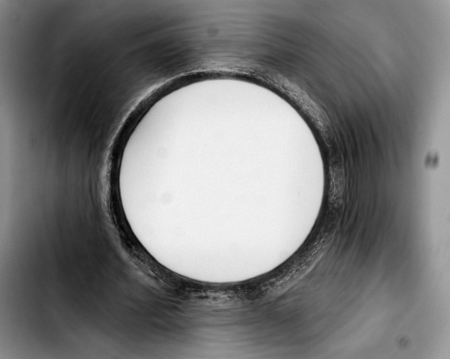 X0000103420580200810101021