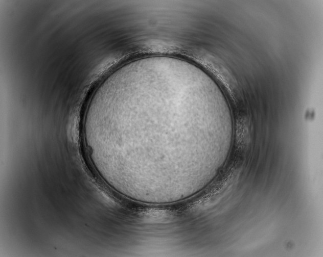 X0000103420581200810101021