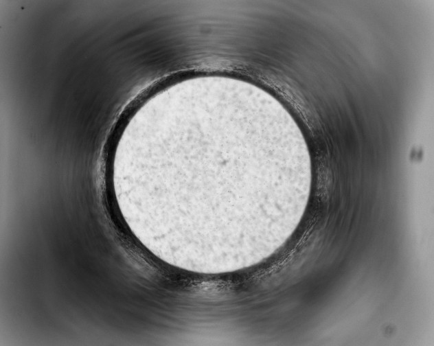 X0000103420584200810101021