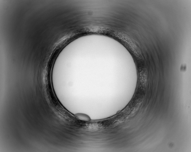 X0000103420587200810101021