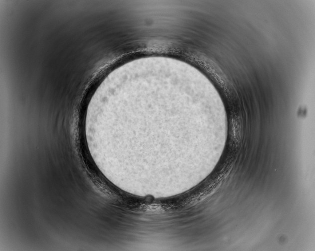 X0000103420588200810101021