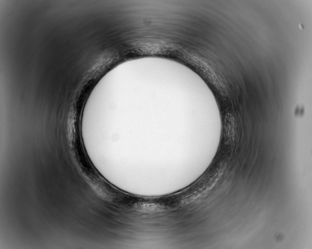 X0000103420590200810101021