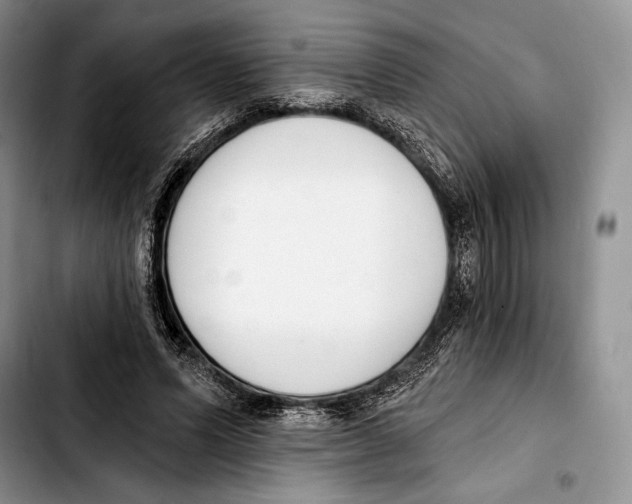 X0000103420591200810101021