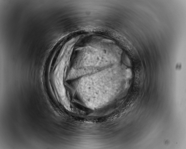 X0000103420592200810101021
