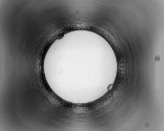 X0000103420593200810101021
