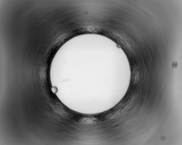 X0000103420595200810101021