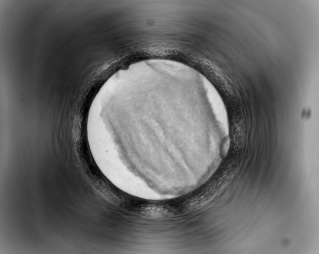 X0000103420596200810101021