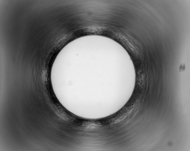 X0000103420597200810101021