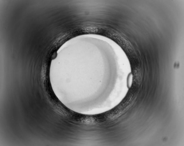 X0000103420600200810101021