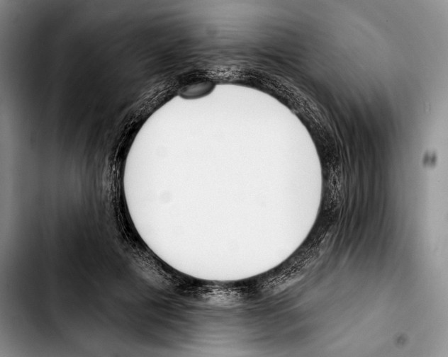 X0000103420601200810101021