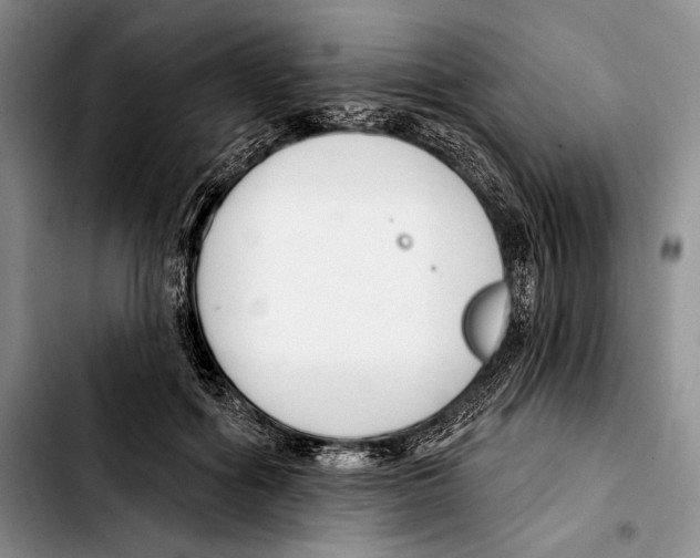 X0000103420602200810101021