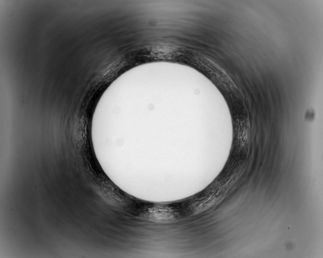 X0000103420603200810101020