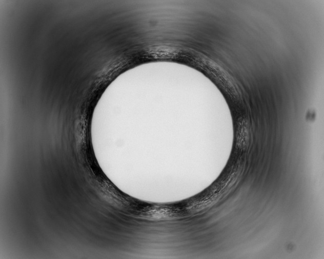 X0000103420604200810101020