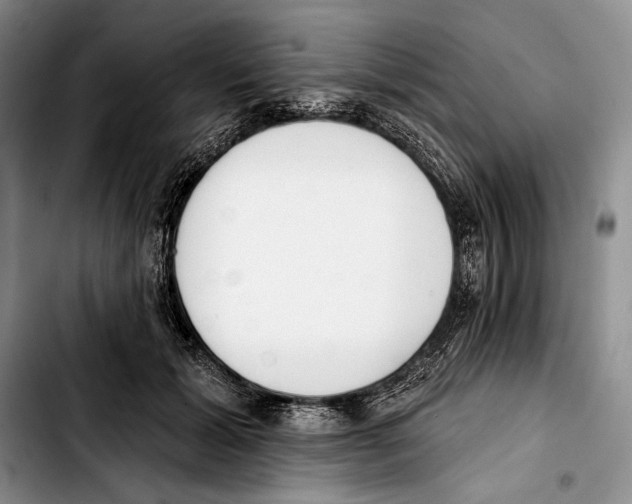 X0000103420605200810101020