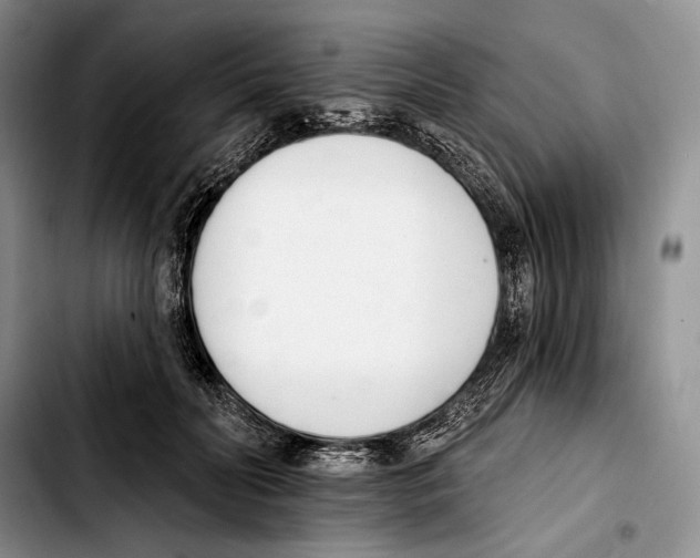 X0000103420606200810101020