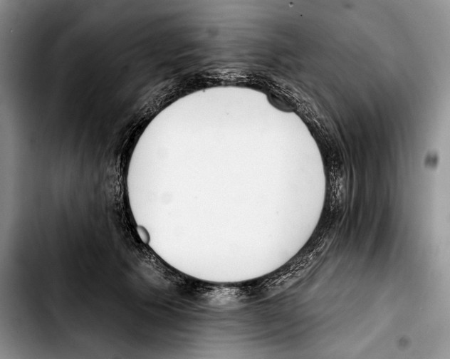 X0000103420609200810101020