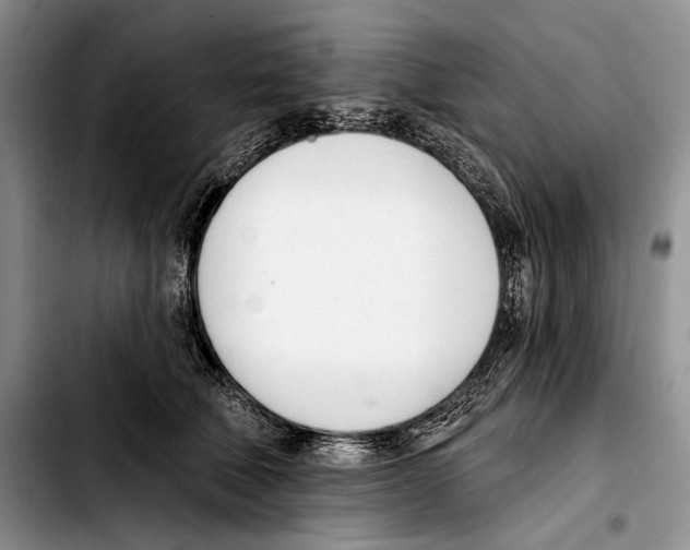 X0000103420610200810101020