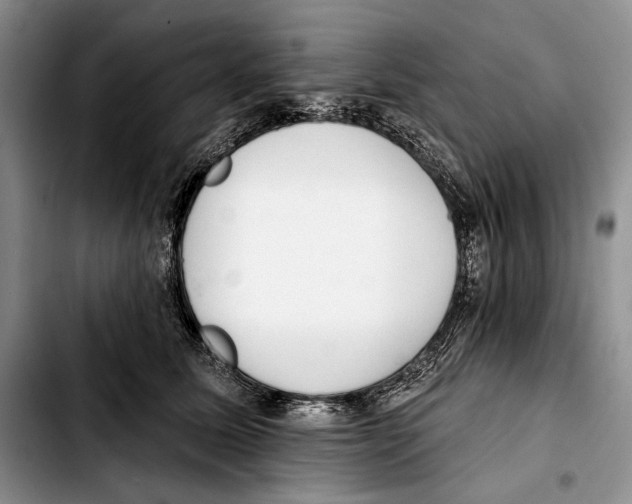 X0000103420611200810101020