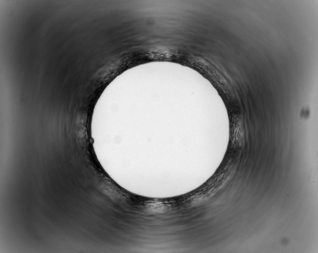 X0000103420616200810101020