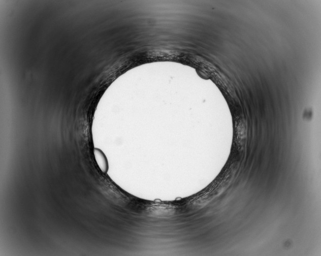X0000103420617200810101020