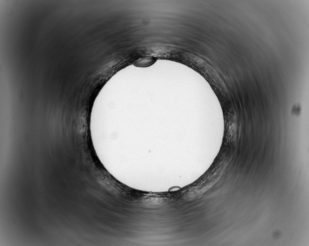 X0000103420620200810101020