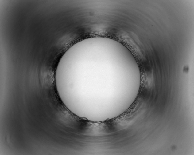X0000103420621200810101020