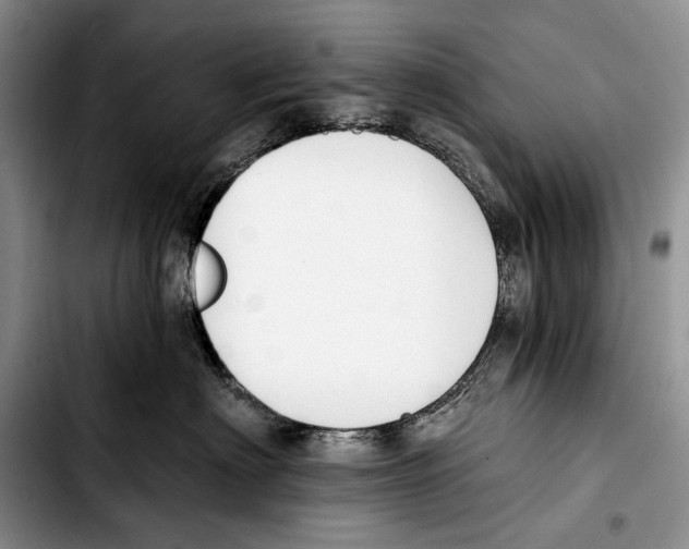 X0000103420622200810101020