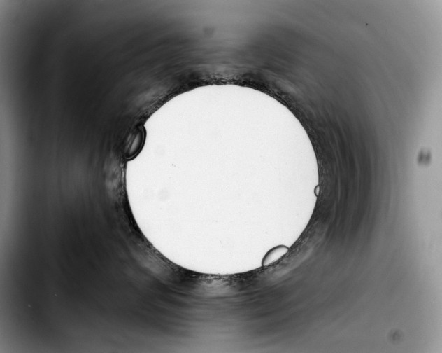 X0000103420624200810101020