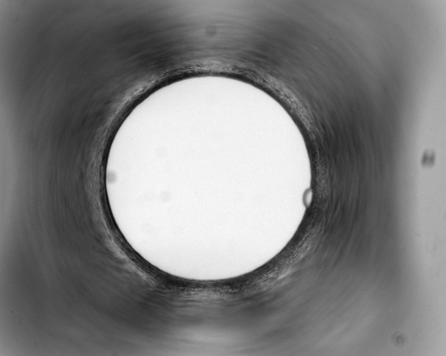 X0000103420625200810101019