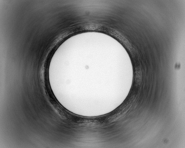 X0000103420626200810101019