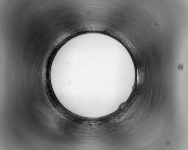 X0000103420627200810101019