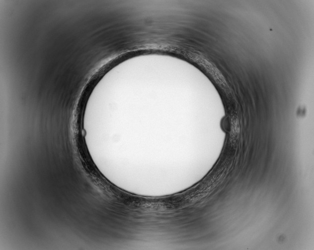 X0000103420628200810101019