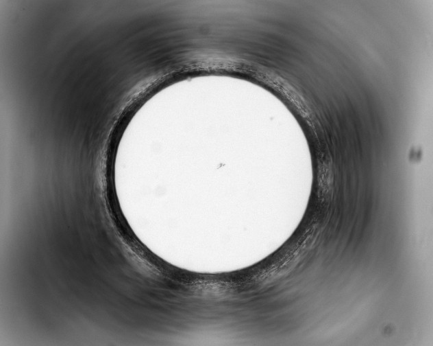 X0000103420629200810101019