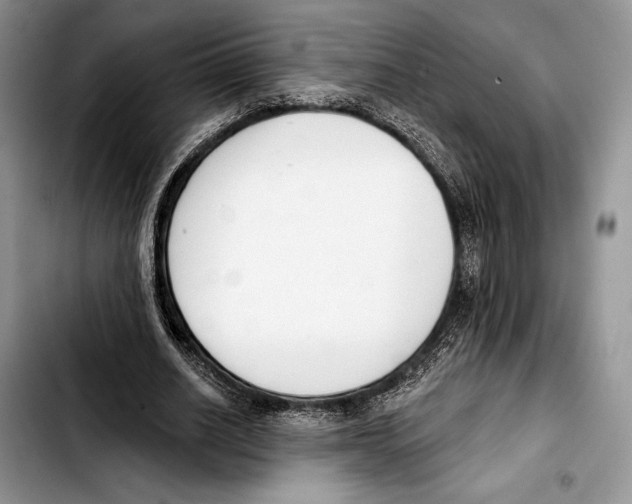 X0000103420630200810101019
