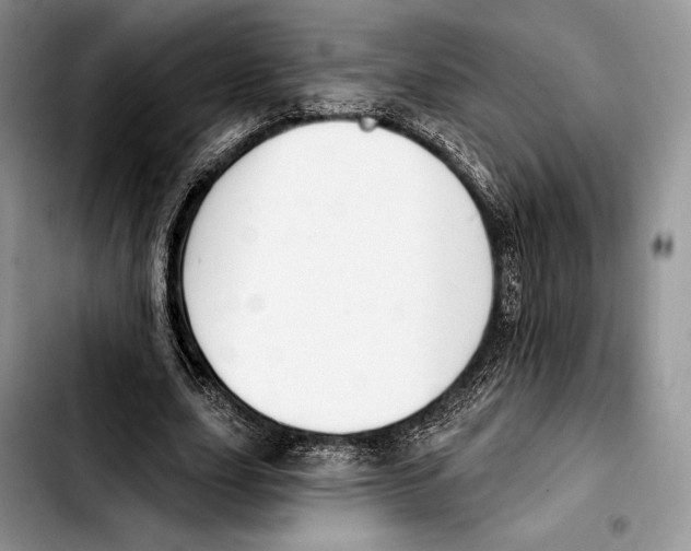 X0000103420631200810101019