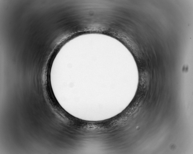 X0000103420632200810101019