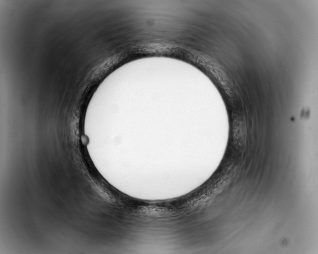 X0000103420633200810101019