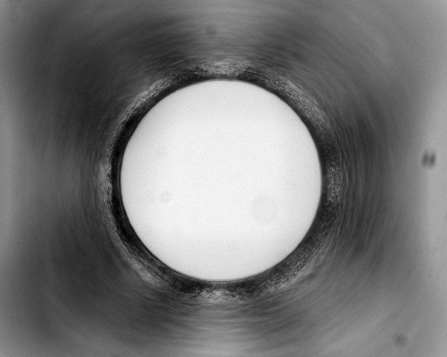 X0000103420634200810101019