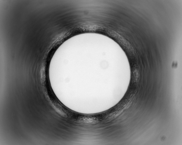 X0000103420638200810101020